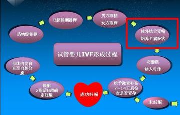 试管婴儿的全部流程
