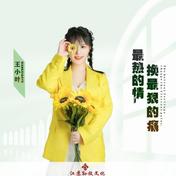最热的情换最狠的痛(王小叶)