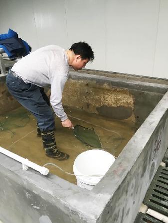 杨国梁教授来扬创业选育良种建立罗氏沼虾种质资源库