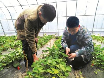 今年,后元吉村将立足于农村和农业根本,以解决农民工返乡创业和村民