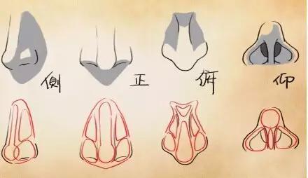 鼻子高耸的自我意识强烈,做事能力好,创业能力强,而一旦颧骨塌陷的,则