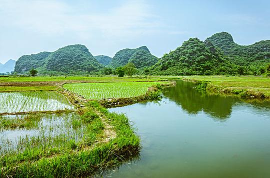 田园风光_图片大全—全景创意图库（quanjing.com）中国领先的正版图片视频素材网站
