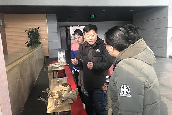 世界野生动植物日倡议书美篇
