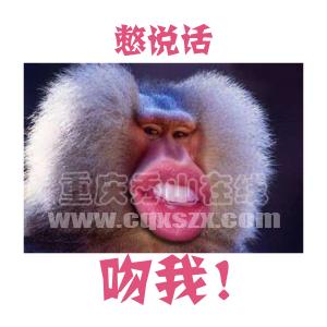 海边涨潮被海水美女冲走搞笑gif动图