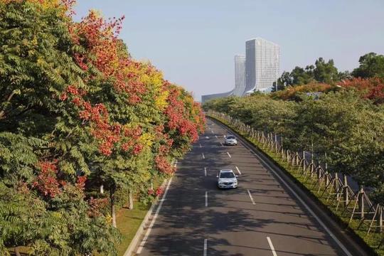 岛内的环岛路,和宁路,和通路,仙岳路,金尚路,莲前东路,同安区的西柯街