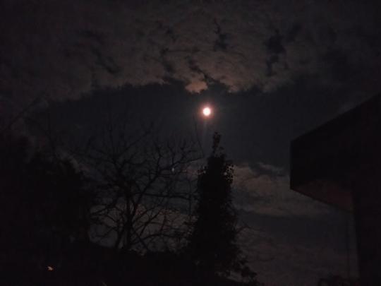 夜晚,月亮,天空,黑夜,美景,自然,风景,月亮风景图片,图片素材,高清