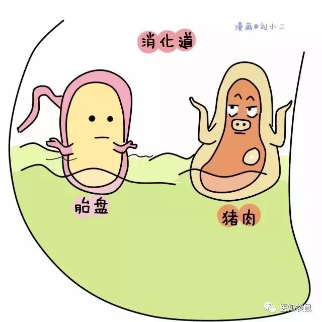 胎盘可以吃吗有什么作用