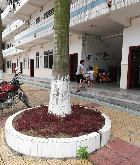 容县各小学新生报名第一天,本地头条带你去现场看一看