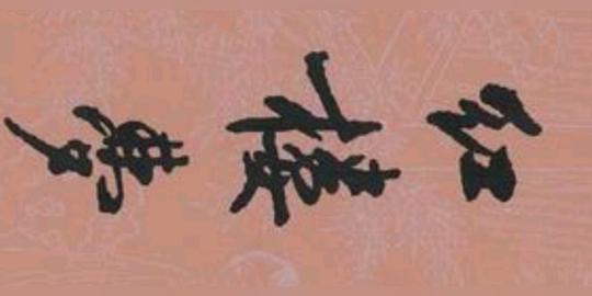 第一篇红楼梦读后感