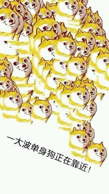 单身狗日常撸表情搞笑图