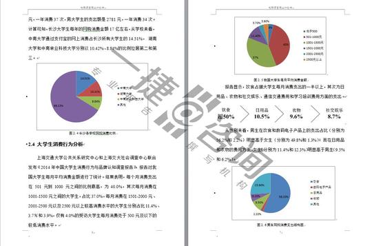 电商项目商业计划书