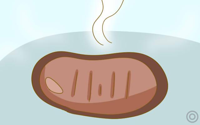 小心这些食物让你难怀孕