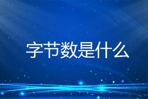 字节什么意思(一个字节多少位)