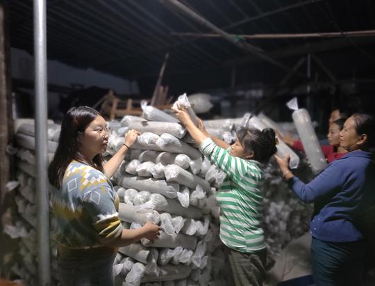 在深圳打拼的她回乡种食用菌，年利润380余万元!