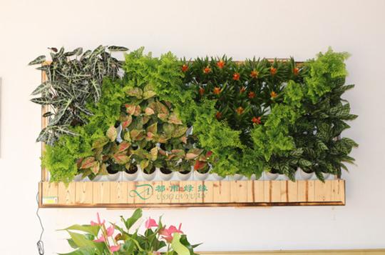 农业食品园艺工具和设备花盆容器都市绿缘富氧智能绿植壁画墙面垂