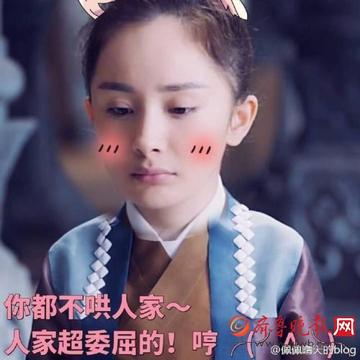 杨幂三生三世表情包