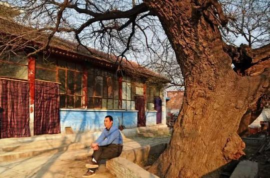 拍摄地点:三河市燕郊镇马起乏村