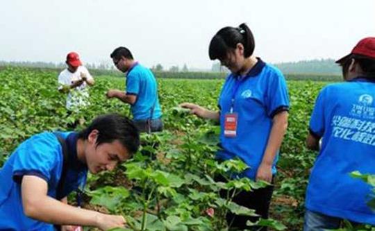 养殖业什么最赚钱农村