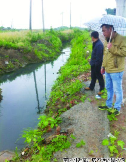 近日,芜湖市弋江区白马街道石硊社区灰山村居民向安徽商报反映,由于该