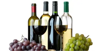 葡萄酒中的二氧化硫有毒吗（红葡萄酒和白葡萄酒有什么本质区别）