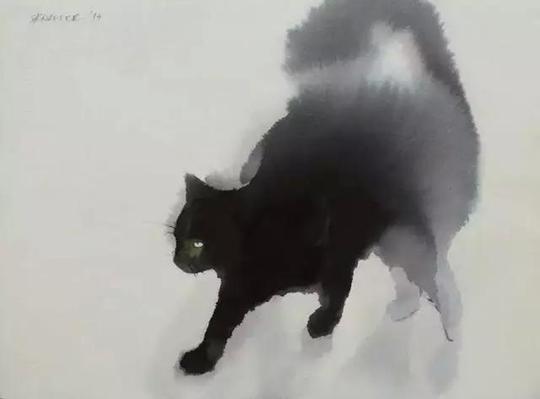 几笔画一只猫,你不信你就输了!