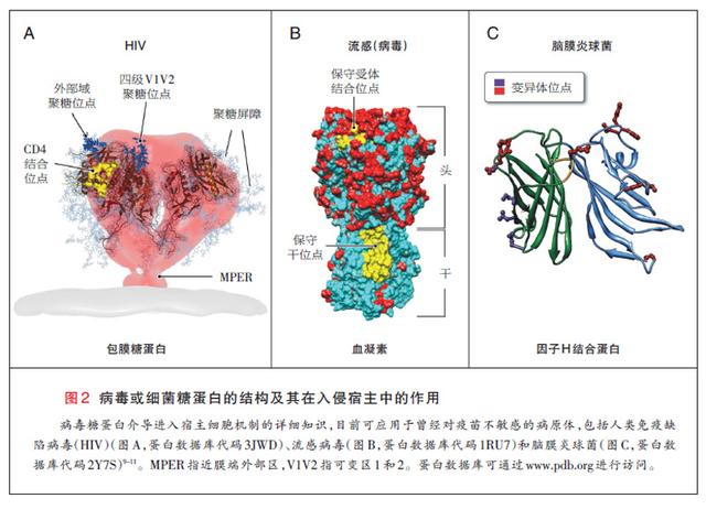 脊髓灰质炎症状表现是什么