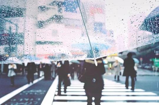 同样也是雨季必备拍照素材之一如果是一把透明伞拍照时会更加分极