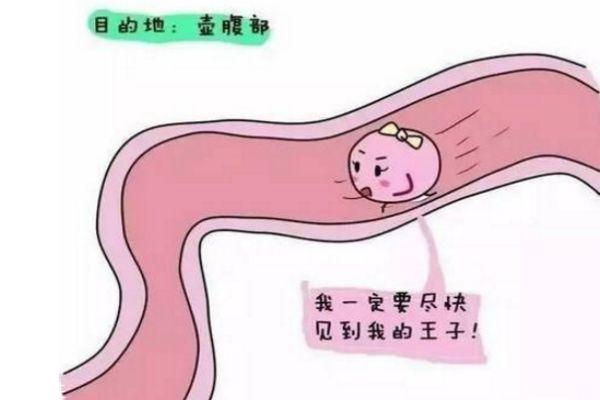 熬夜会影响排卵吗?