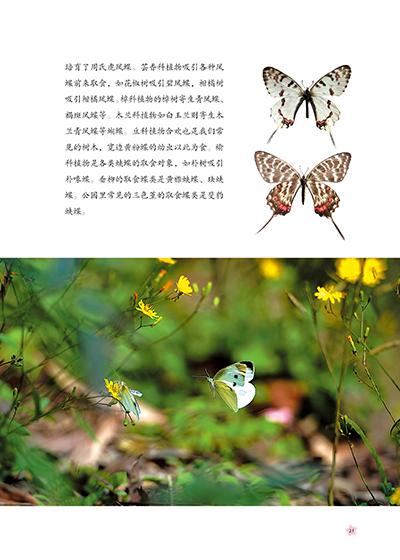 它世界系列丛书:小的很有个性(小小动物科普故事)