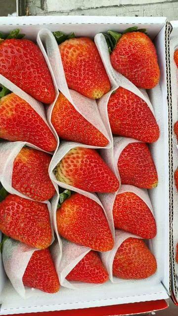 生鲜的冰袋可以重复用吗