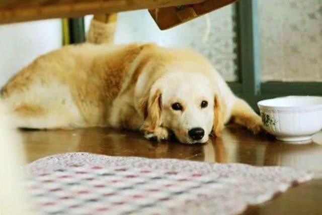 孕妇的居住环境