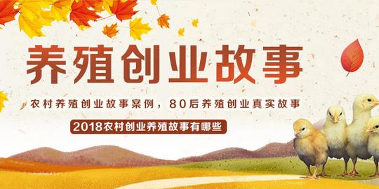 农村养殖创业故事案例,80后养殖创业真实故事,2018有