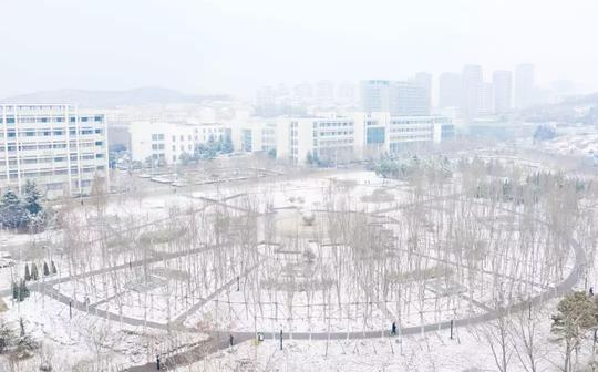 这场大雪用它最美的姿态向石大问好然后温柔的覆盖在校园的每一个