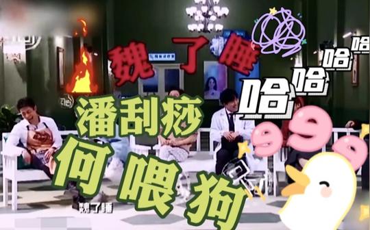 【明星大侦探】那些剧本杀里让人头笑断的名字搞笑名场面