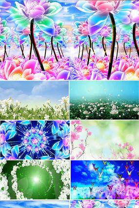 舞蹈那些花儿演出背景视频