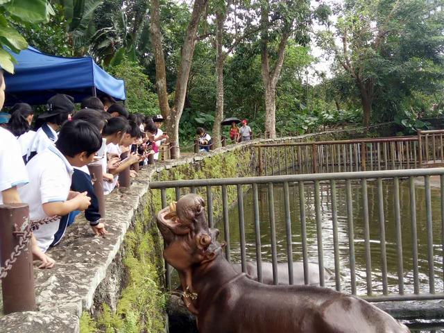 世界野生动植物日倡议书