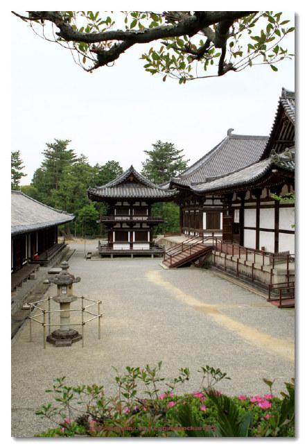 [转载]律宗总寺院---日本奈良唐招提寺