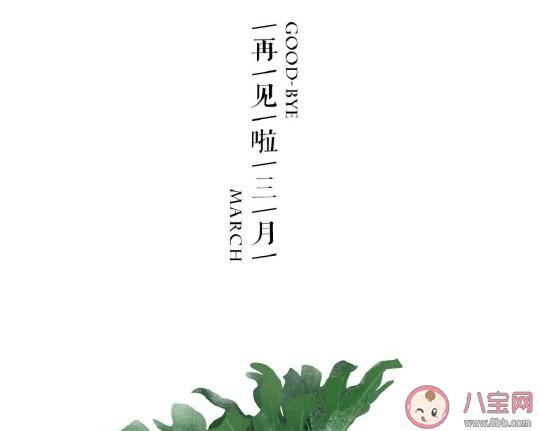 三月请善待我|2021三月请善待我发朋友圈文案新的三月创意文案大全