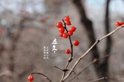 关于雪的朋友圈说说心情