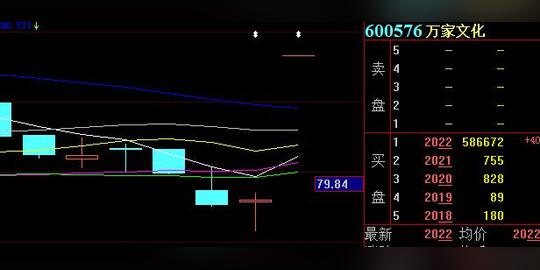 借钱低价入原始股!赵薇演绎空手套白狼的最高境