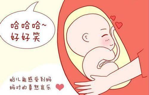 胎教几个月开始好