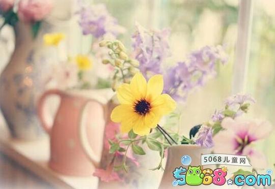 写日记的素材都有哪些写日记常见的六种题材