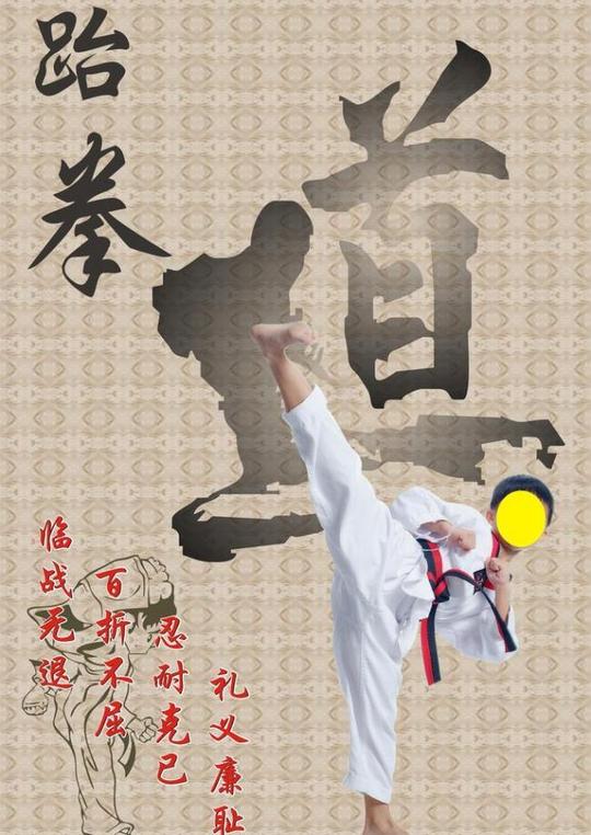 跆拳道图片平面广告素材免费下载(图片编号:2457200)