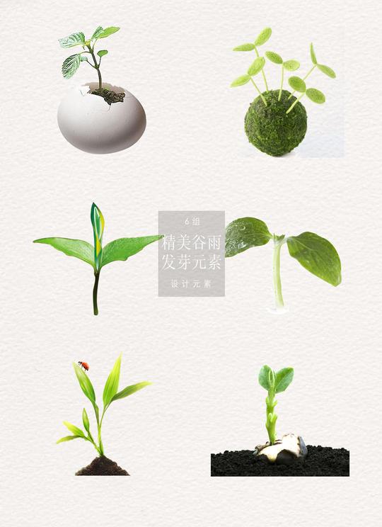精美的谷雨发芽元素素材