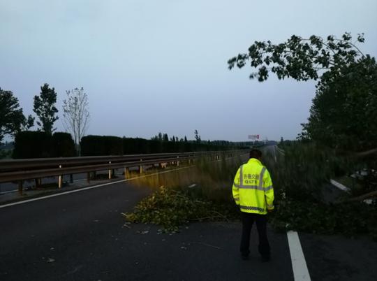 百颗大树因风雨横倒济聊高速公路