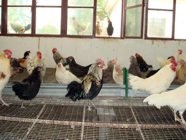 宝宝总是摸小鸡怎么回事