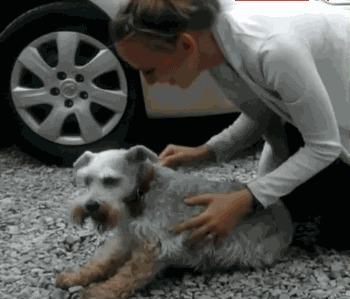 呜呜呜呜表情包可爱