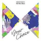 Ready to love(SEVENTEEN)
