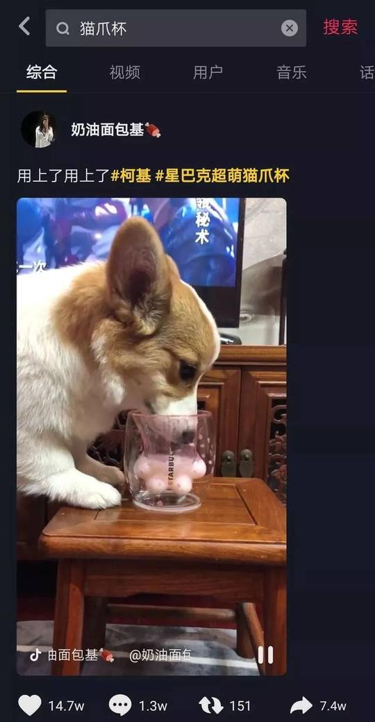 抖音短视频