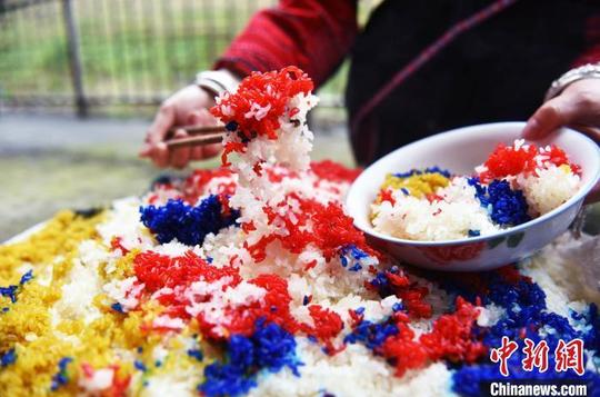 广西龙胜少数民族民众制作五色糯米饭喜迎"三月三"